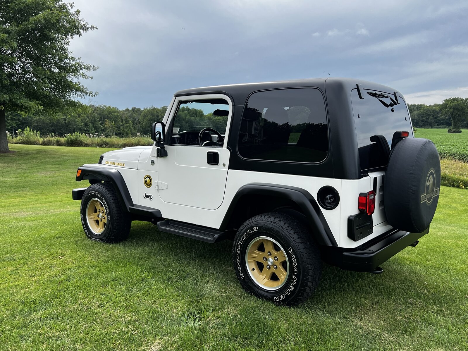 06 Golden Eagle 11 - Left Rear Ext.jpeg