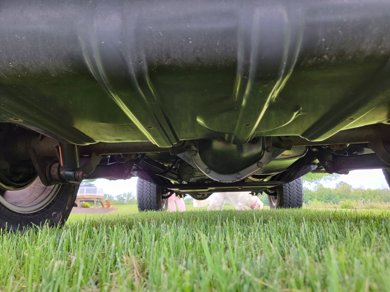 06 Golden Eagle 27 - Rear Undercarriage.jpg