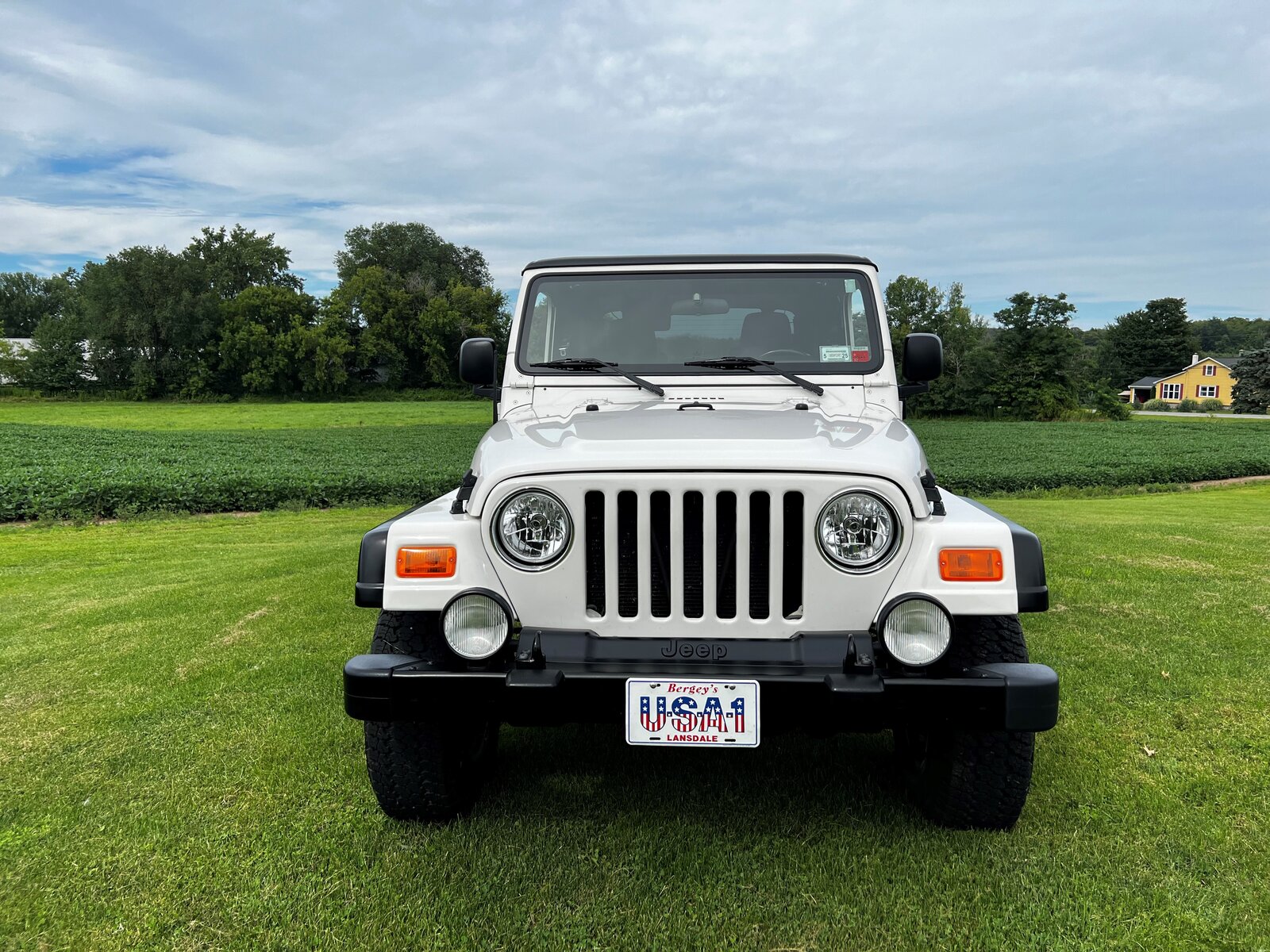 06 Golden Eagle 3 - Front End.jpg