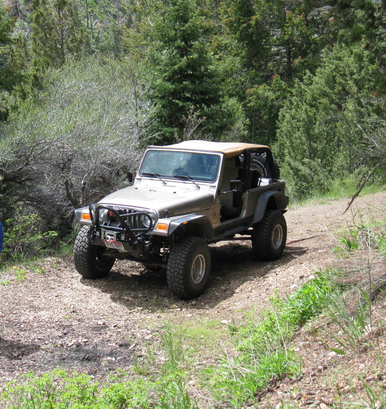 2016 Spring (37).JPG