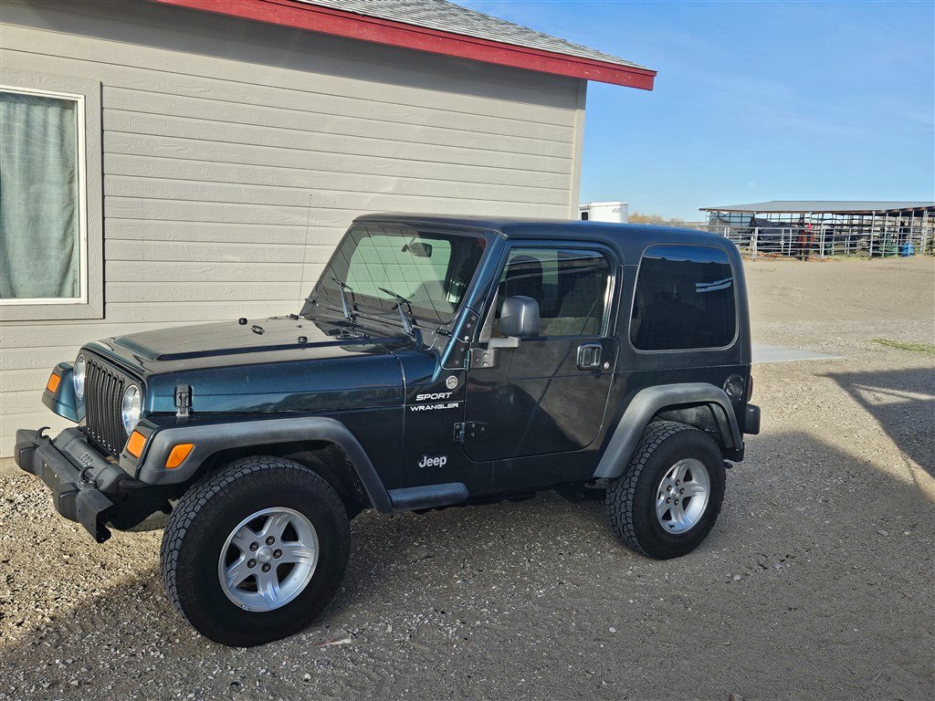 20250210_155551 (Medium).jpg