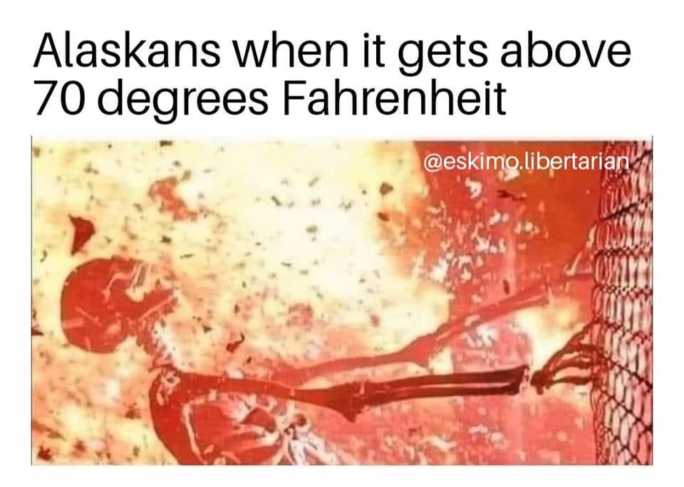 alaskan sunshine.jpeg