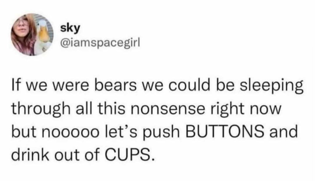 Bears.jpg