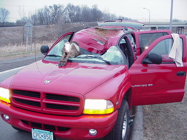 C__Data_Users_DefApps_AppData_INTERNETEXPLORER_Temp_Saved Images_durango1.jpg