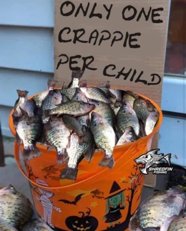 Crappie.jpg