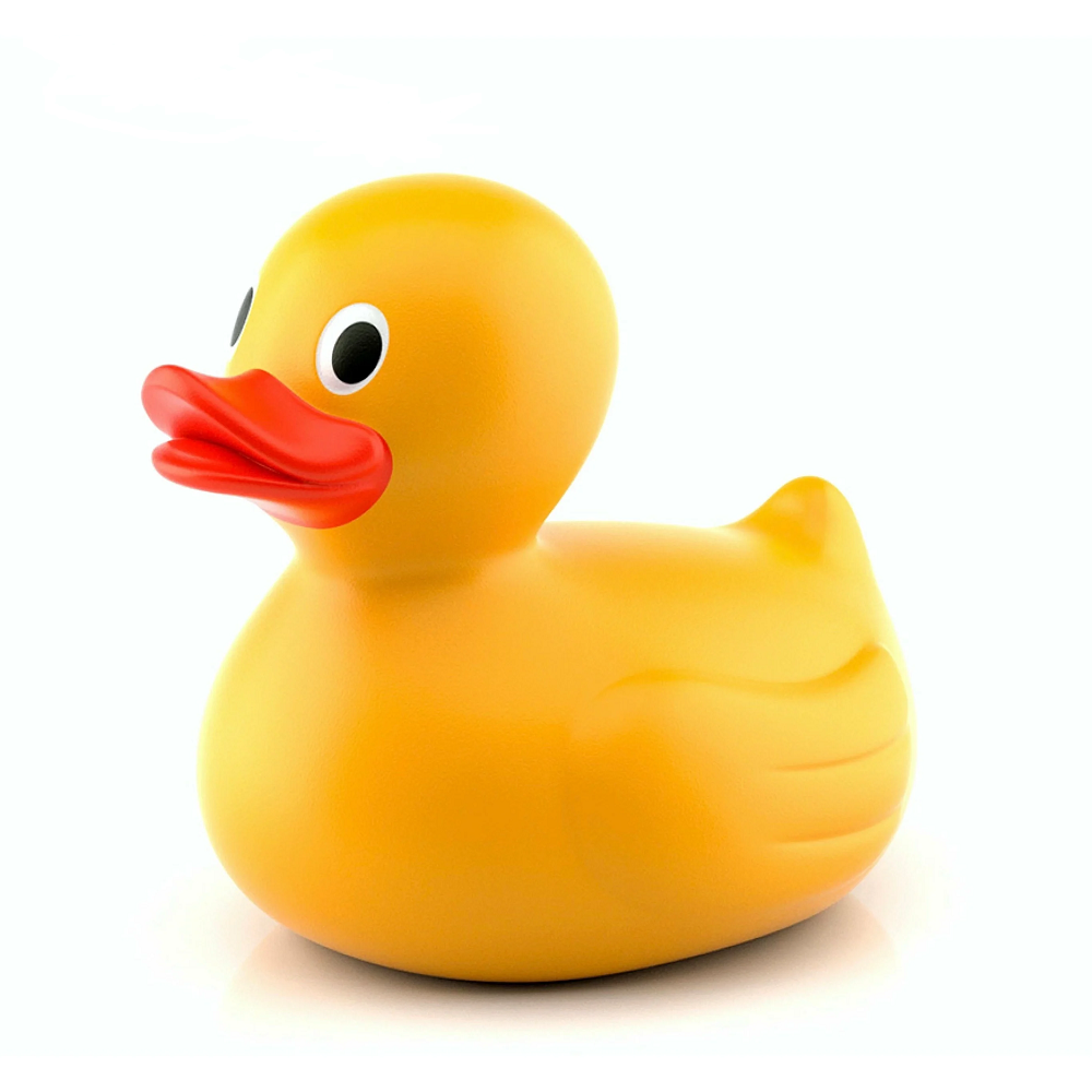 Duck.png
