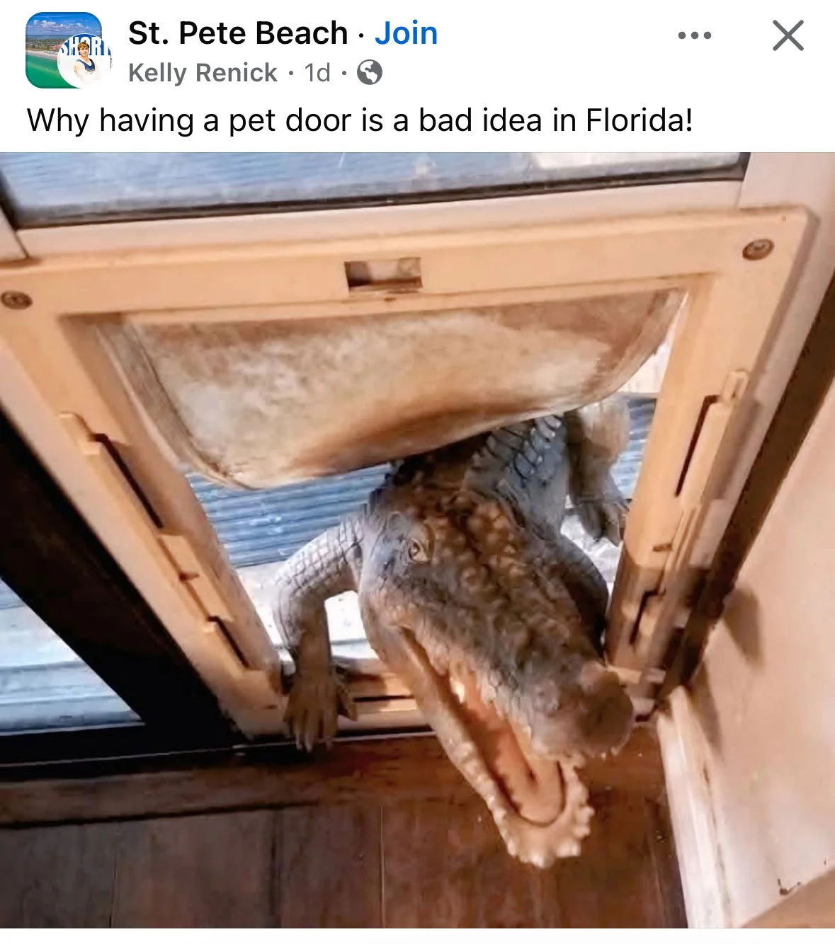 FL Pet Door.webp