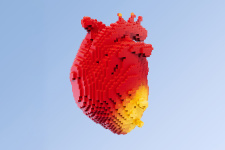 Science Is Finding Ways to Regenerate Your Heart