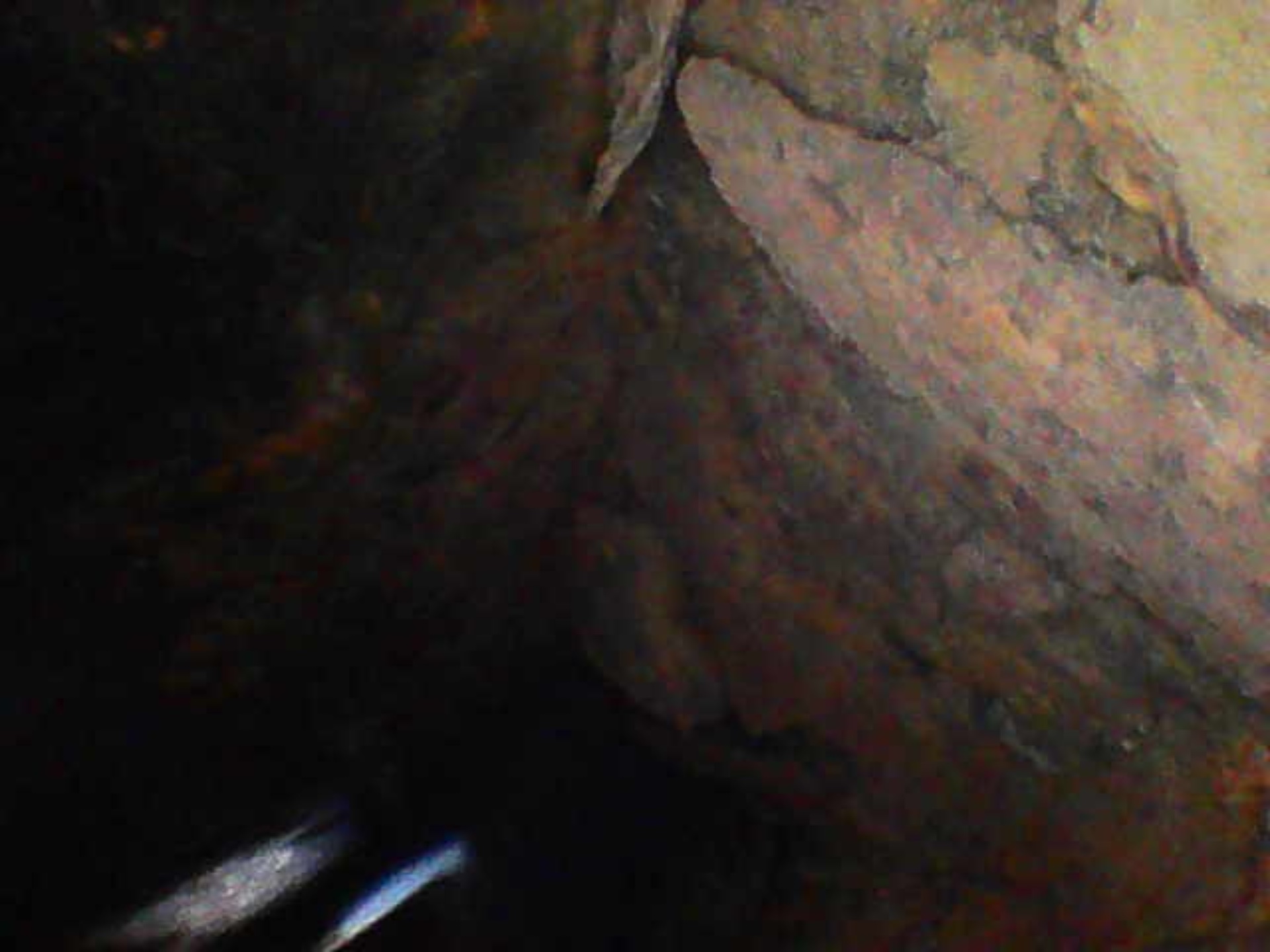 Image_2025-07-25 14_45_53_868.jpeg