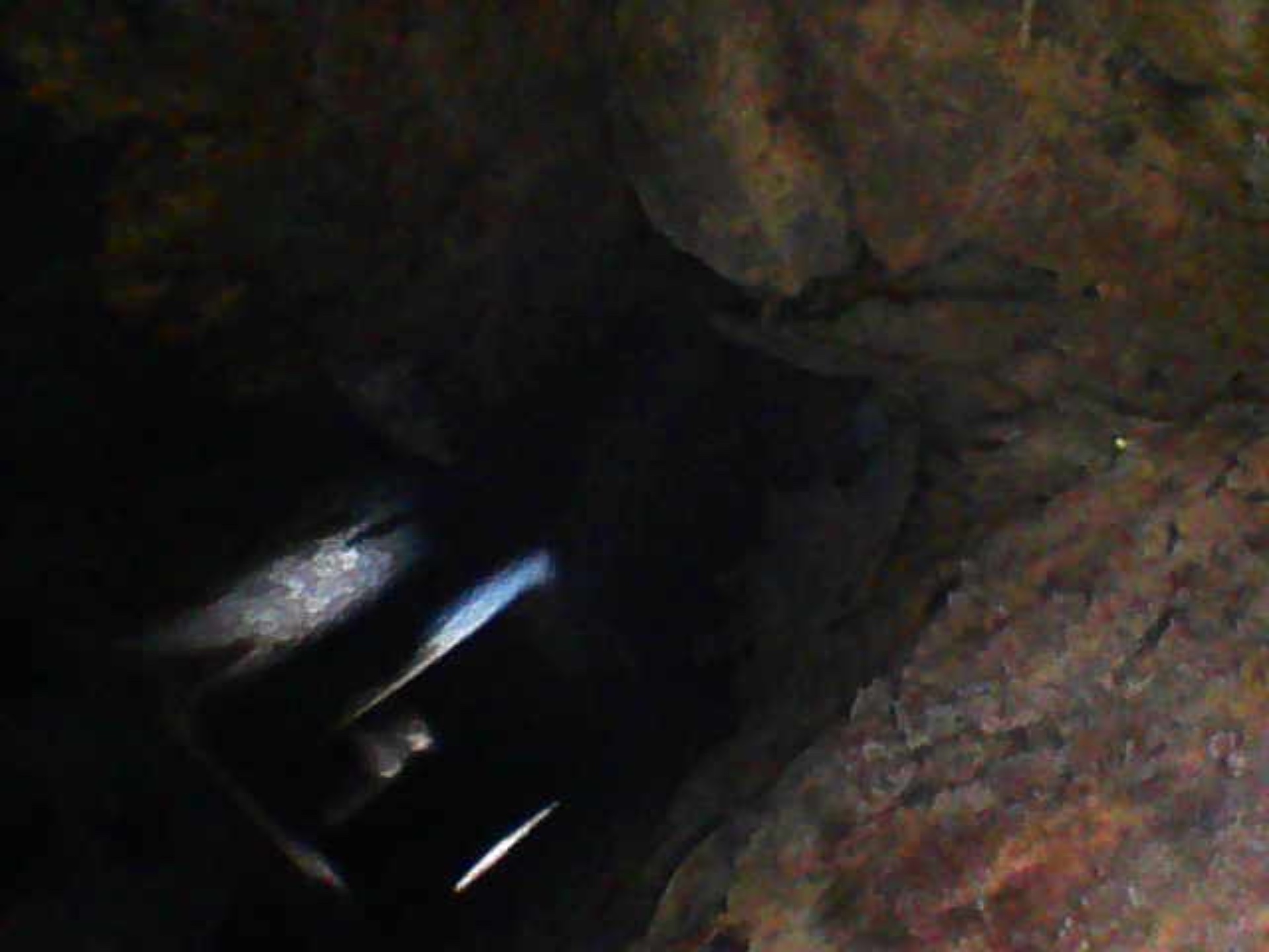 Image_2025-07-25 14_46_24_164.jpeg