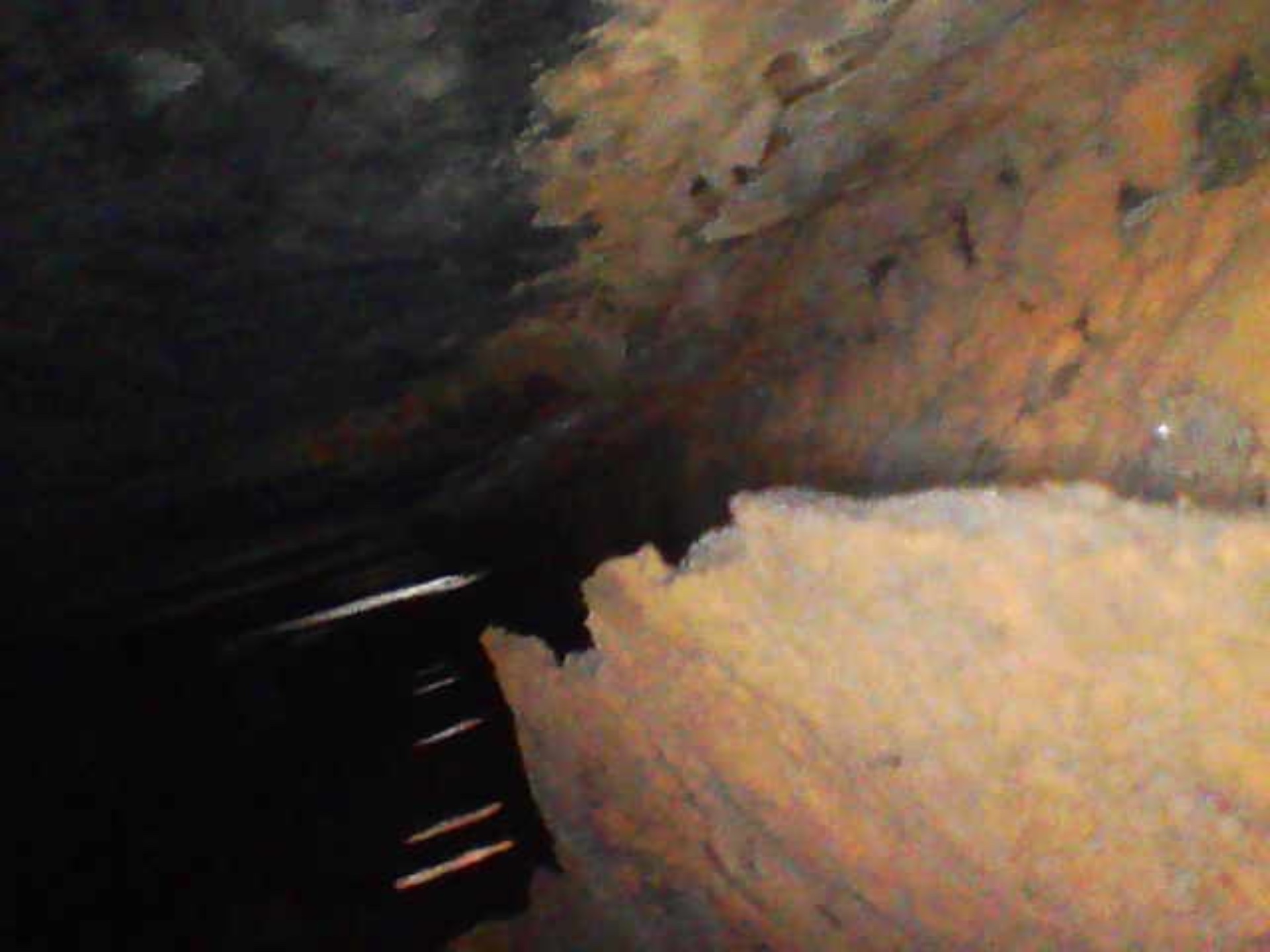 Image_2025-07-25 14_50_30_850.jpeg