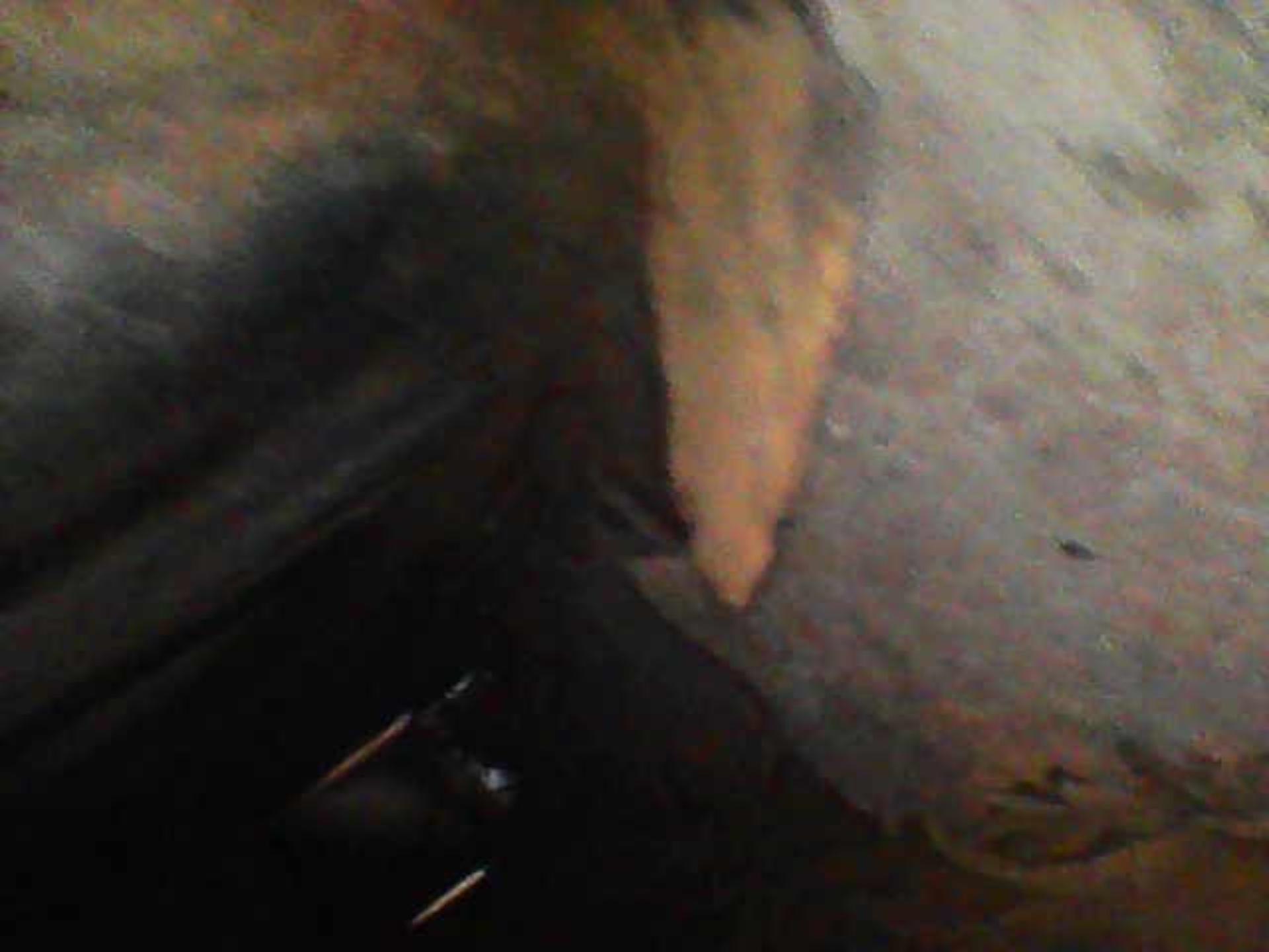 Image_2025-07-25 14_51_50_798.jpeg