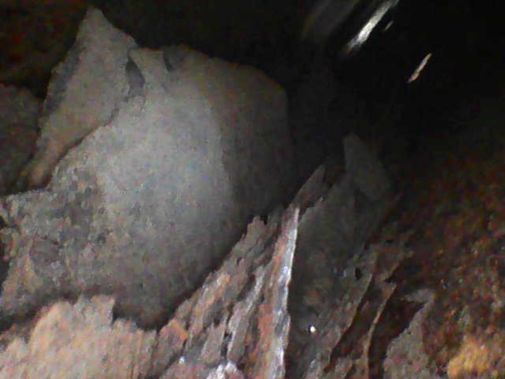 Image_2025-07-25 14_53_15_437.jpeg