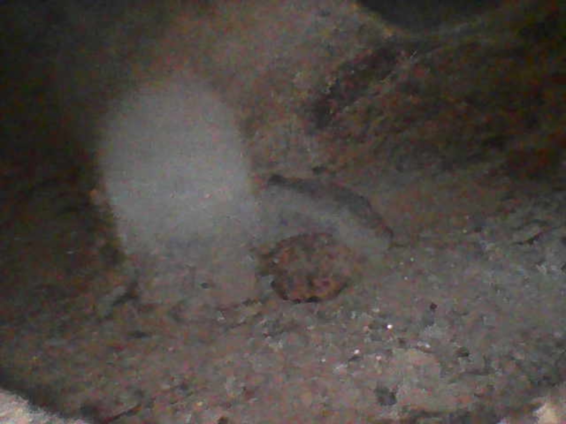 Image_2025-07-25 14_53_52_455.jpeg