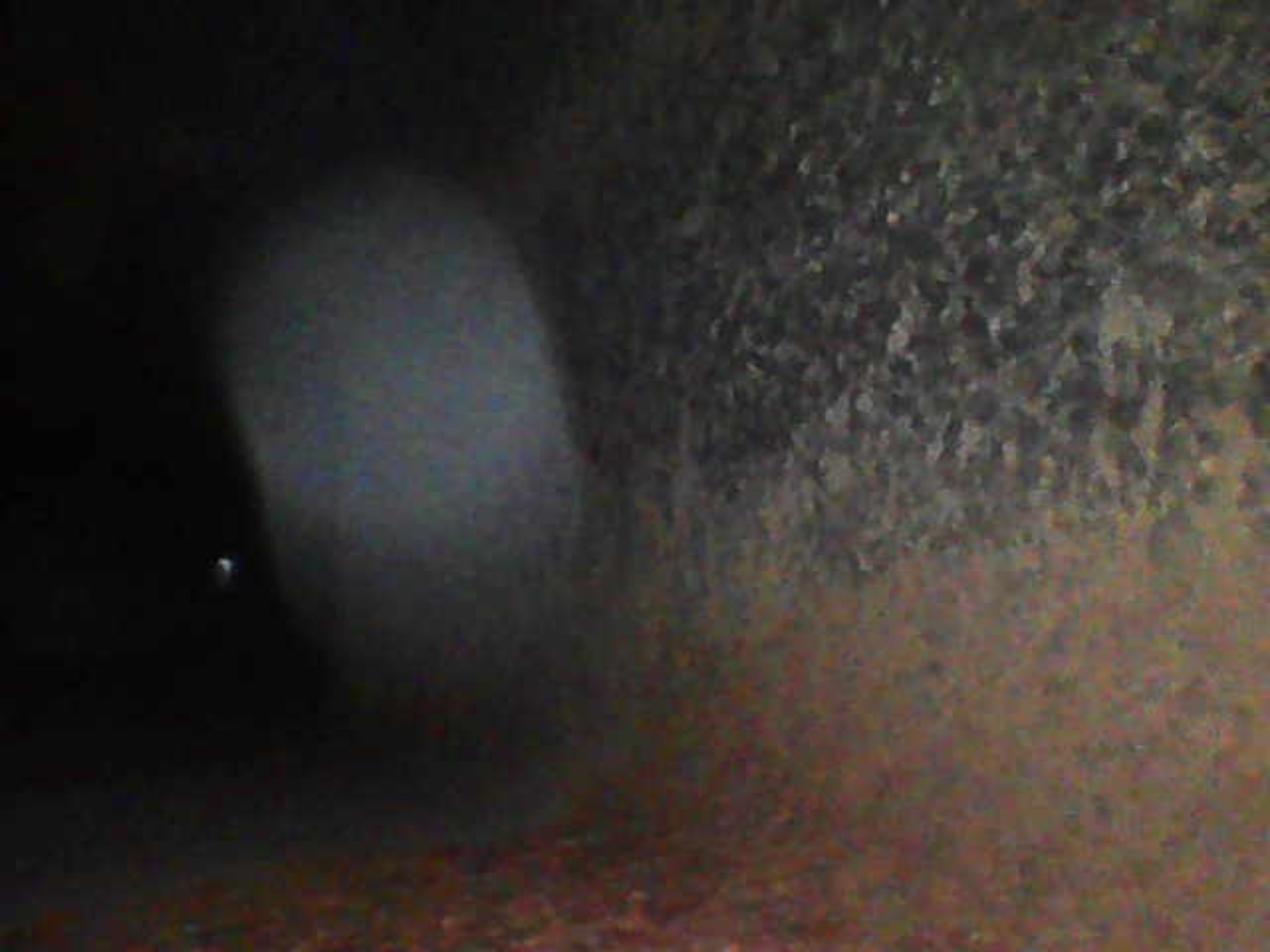 Image_2025-07-25 14_54_35_267.jpeg