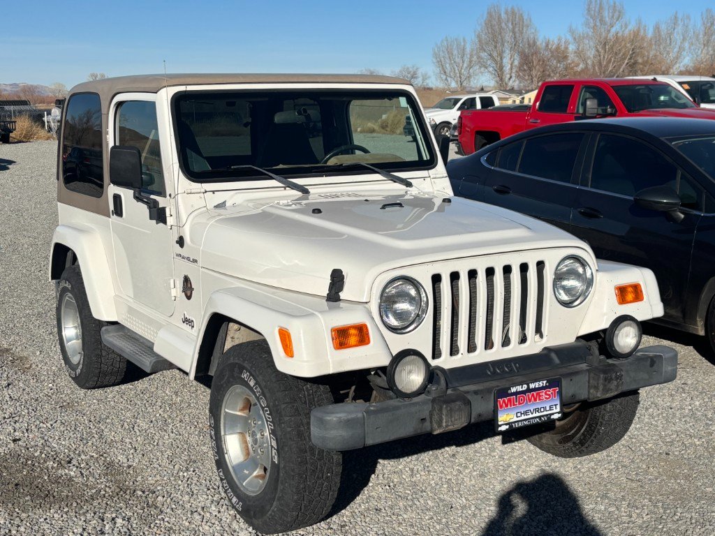 IMG_2816 (Medium).jpeg