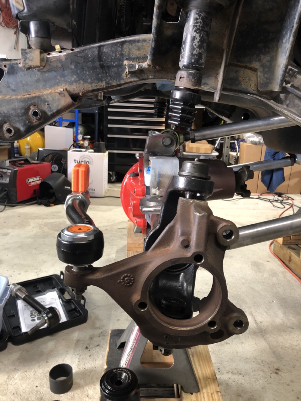 IMG_4439a Large.jpeg