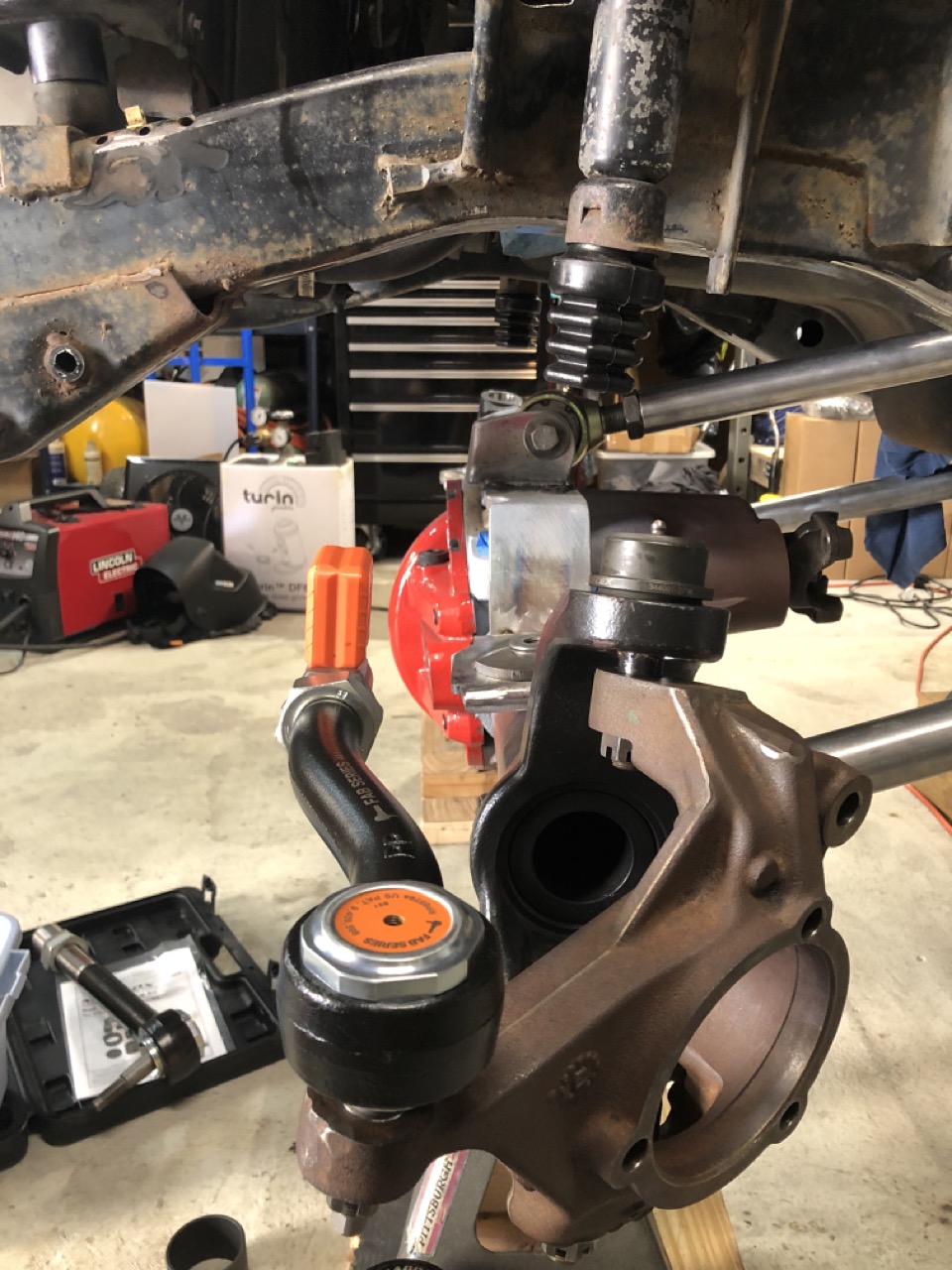 IMG_4439b Large.jpeg