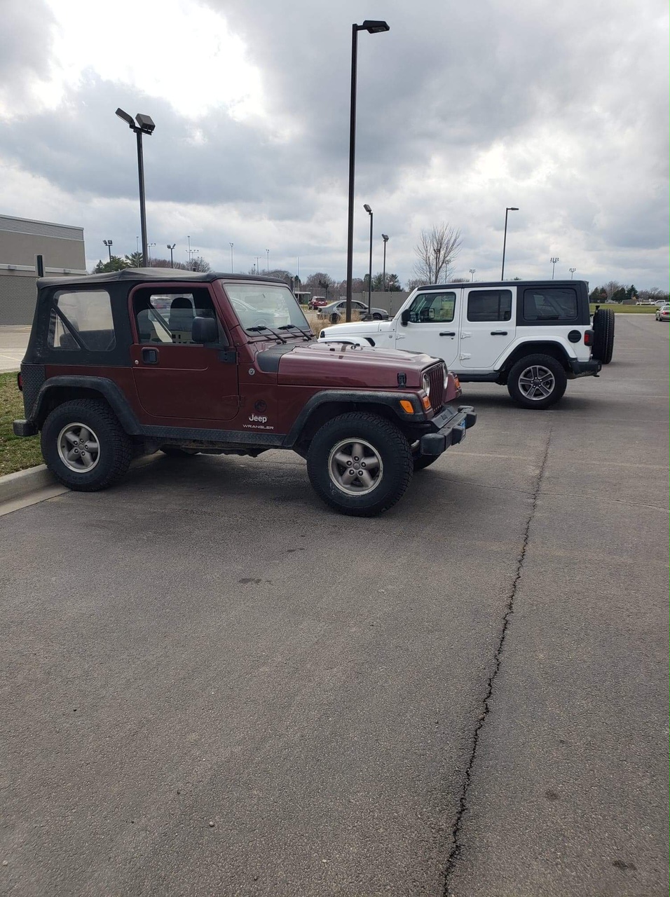 Jeeps01.jpeg