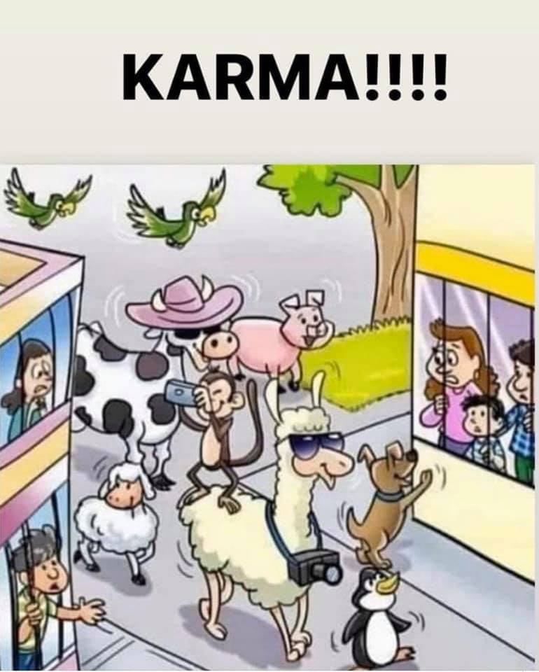 karma.jpg