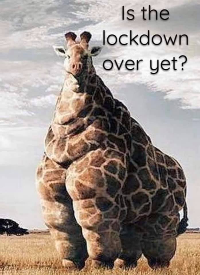 lockdown.jpg