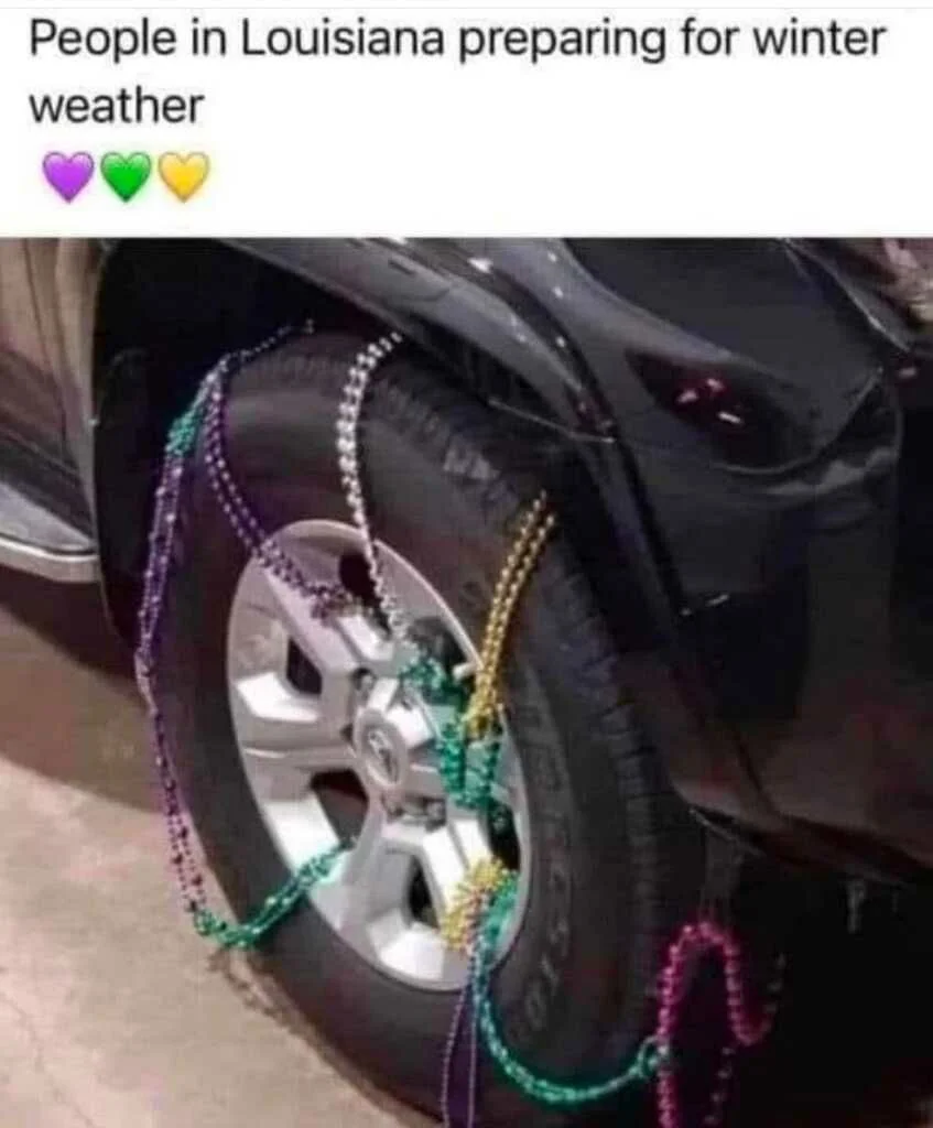 Louisiana Winter.webp