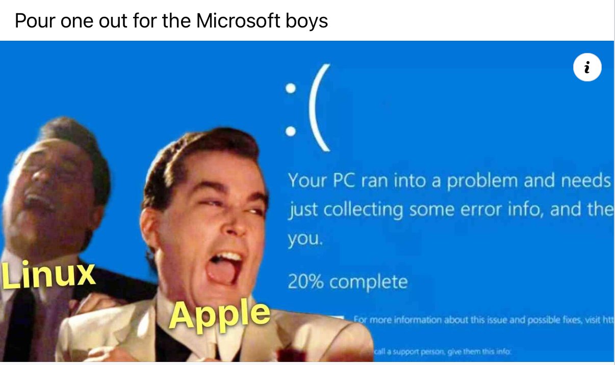 Microsoft.jpg