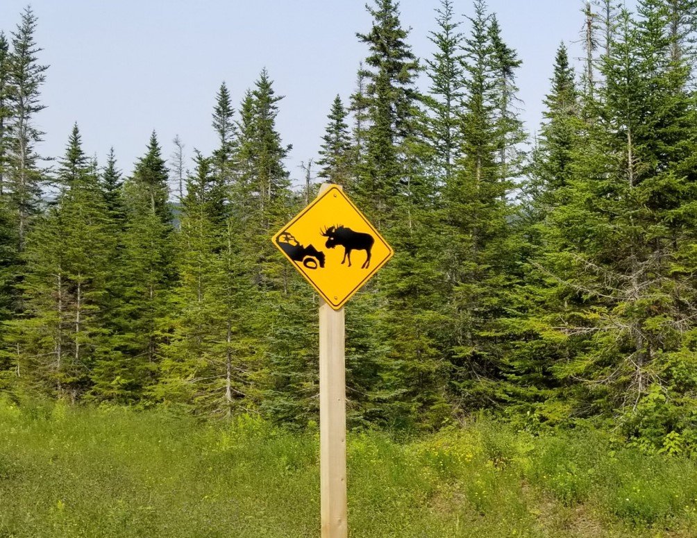 moose sign.jpg