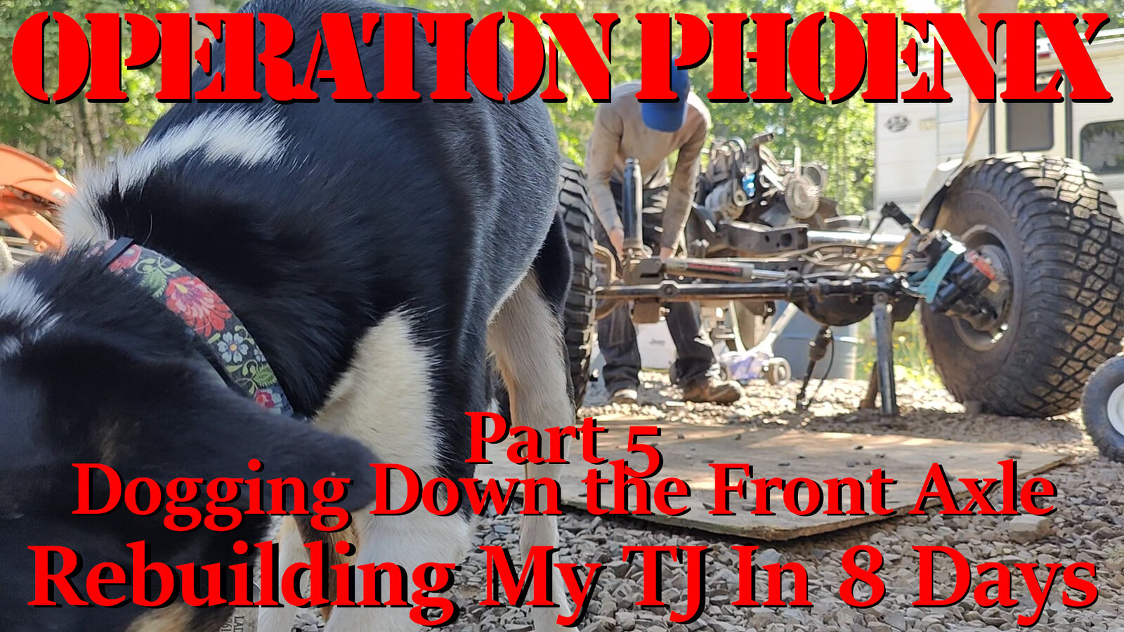 Operation Phoenix 5.jpg