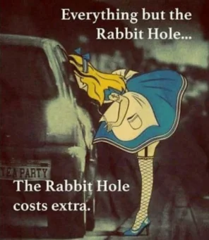 Rabbit Hole.webp