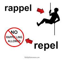 rappel.png