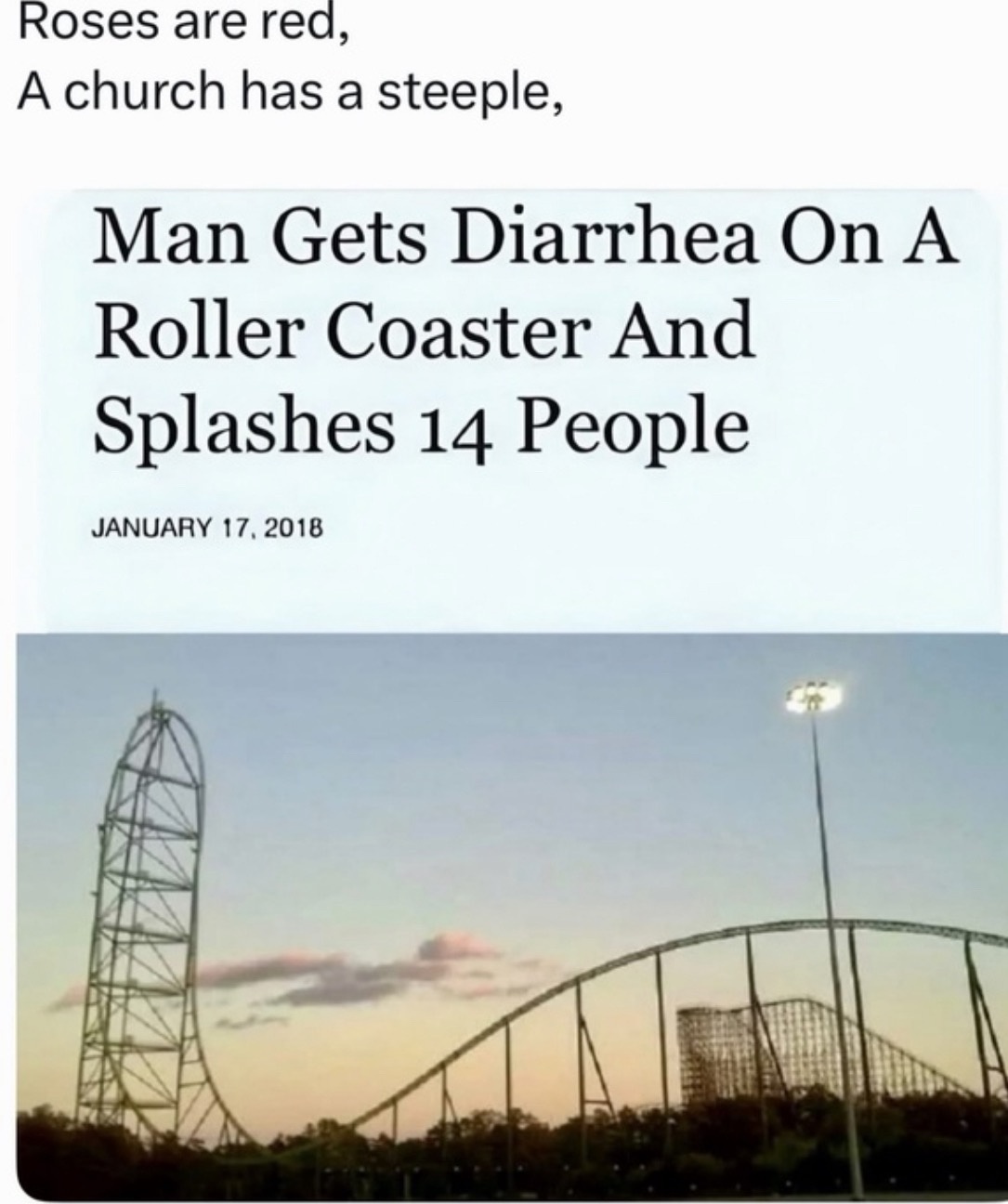 Roller Coaster.jpg