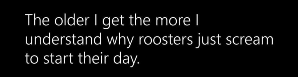 Rooster.jpg