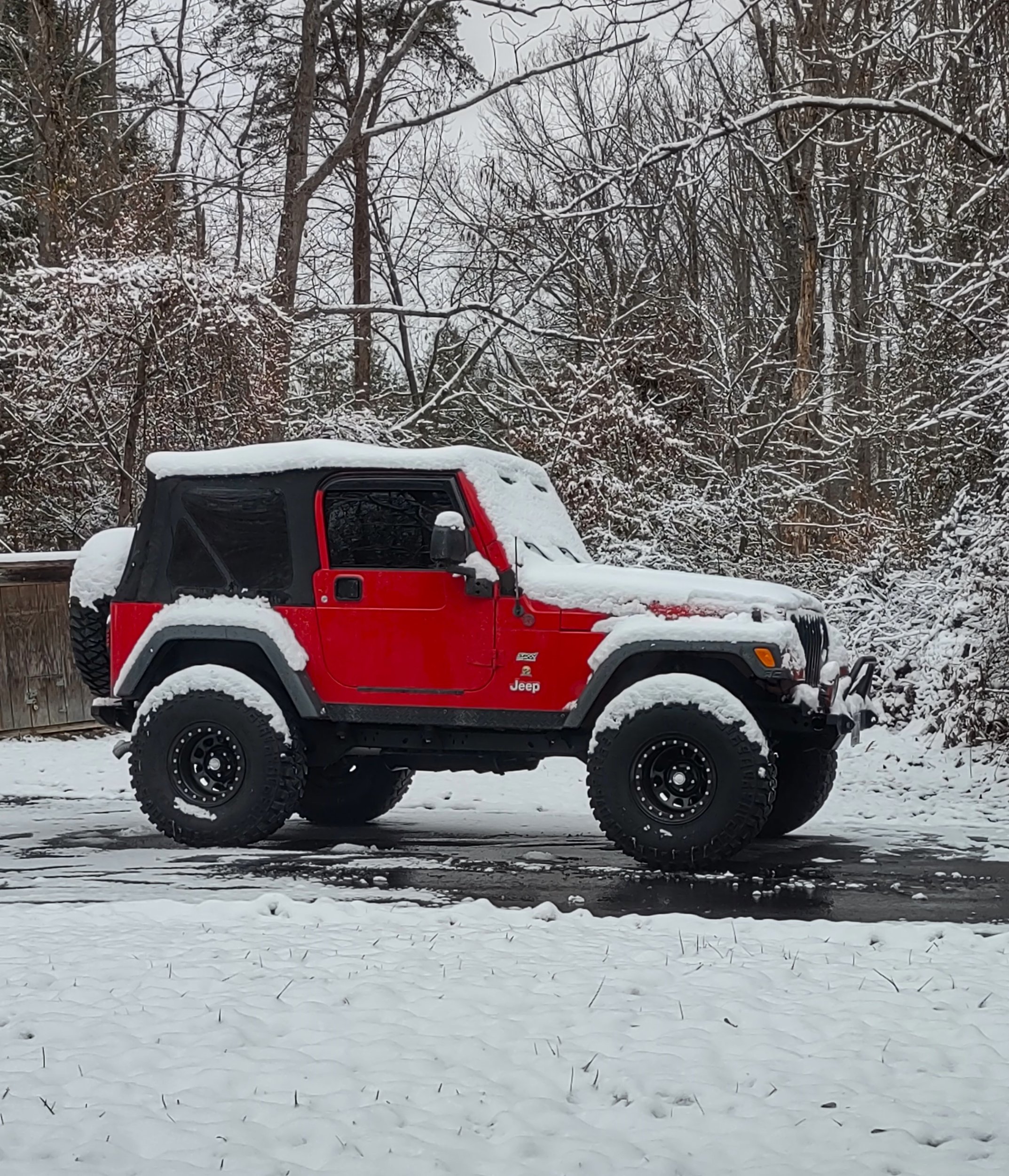 Rubi snow 12 9 25.jpg