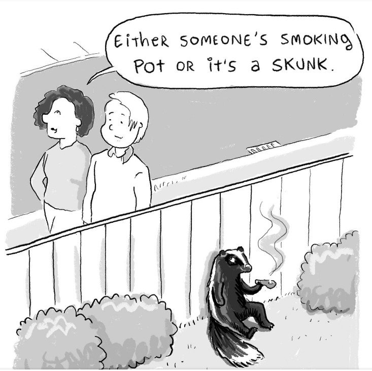 skunk.jpg