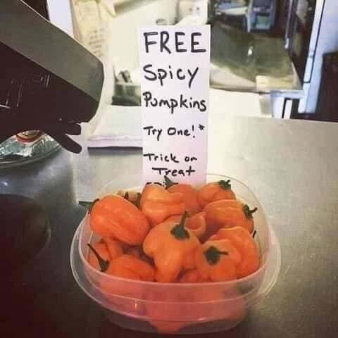 Spicy Pumpkins.jpg