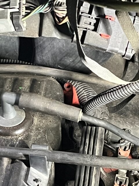 Split wire loom harness.jpg