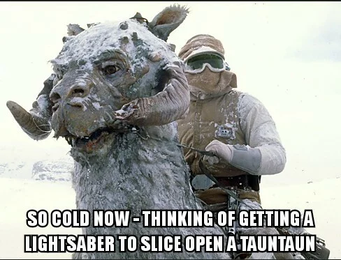 TauntaunCold.webp