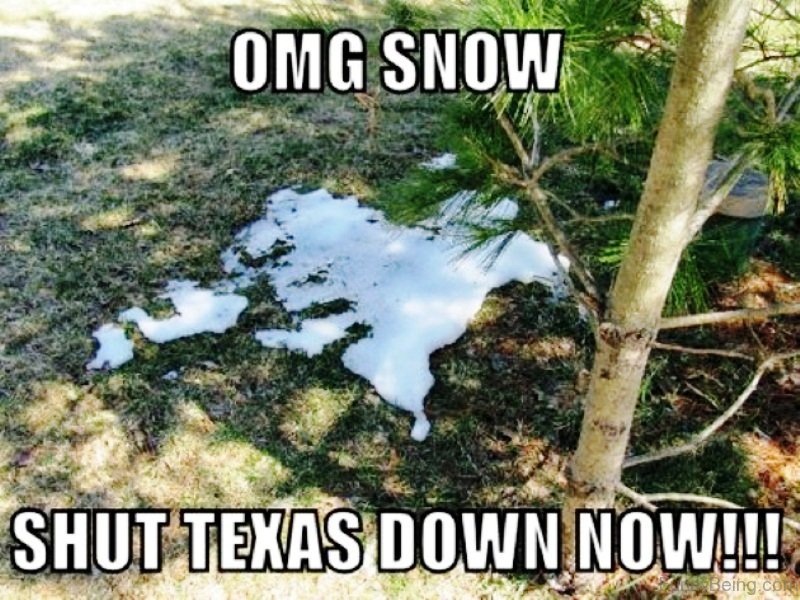 texas.jpg