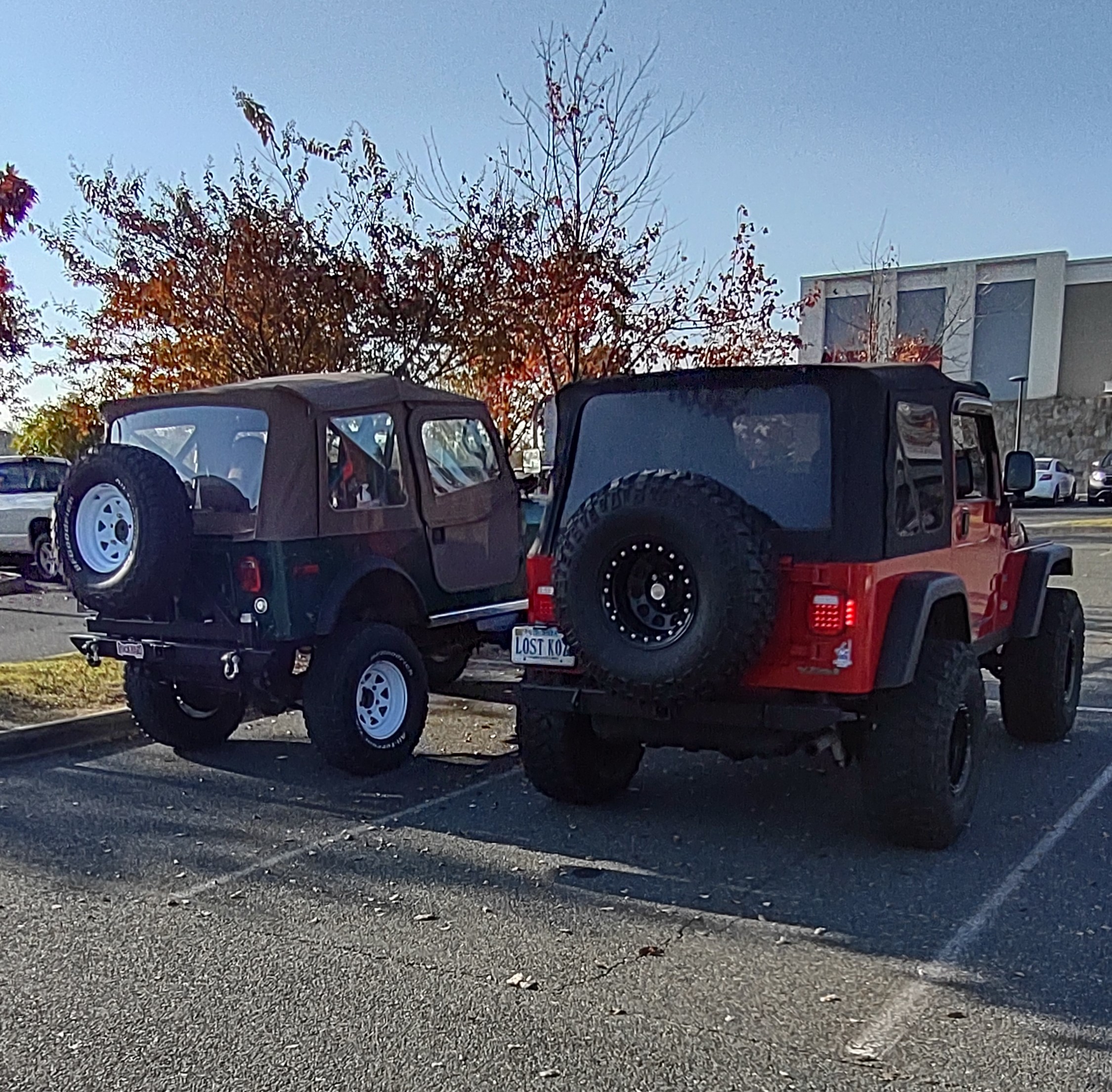 Trader Joe Jeep.jpg