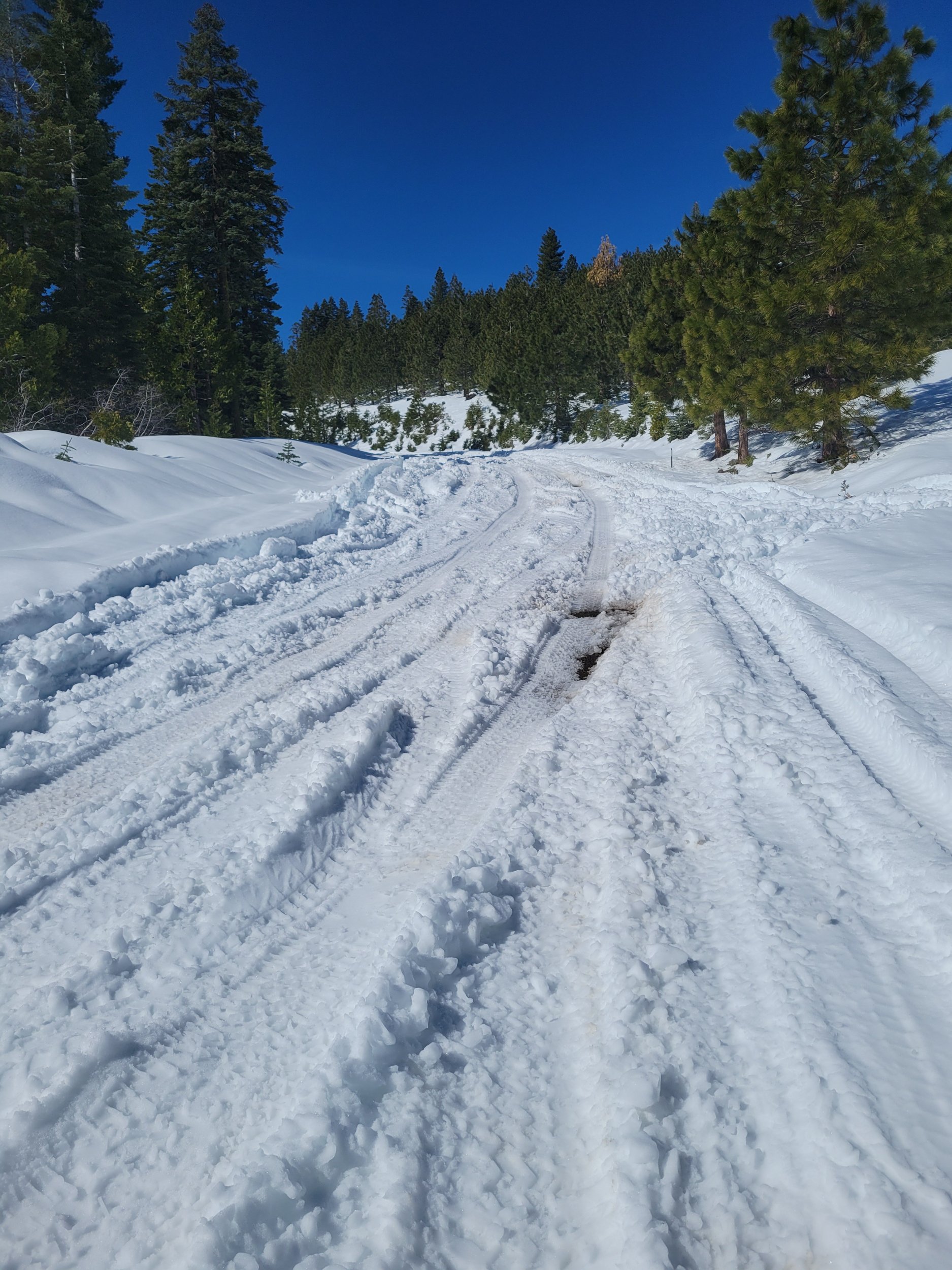 Wentworth Springs Rd Mar 23rd.jpg