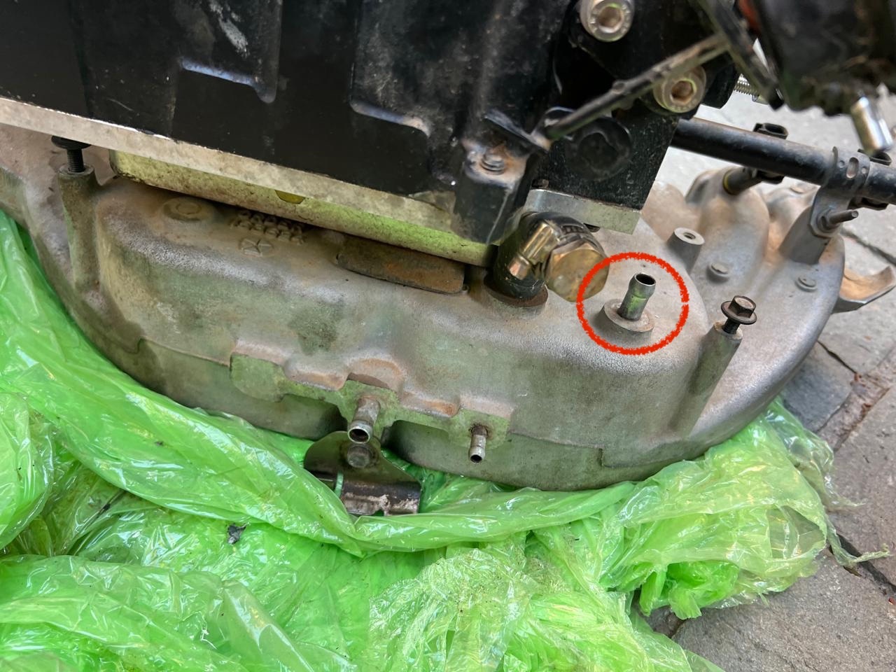 WhatsApp Image 2024-12-09 at 9.53.46 p.m..jpeg