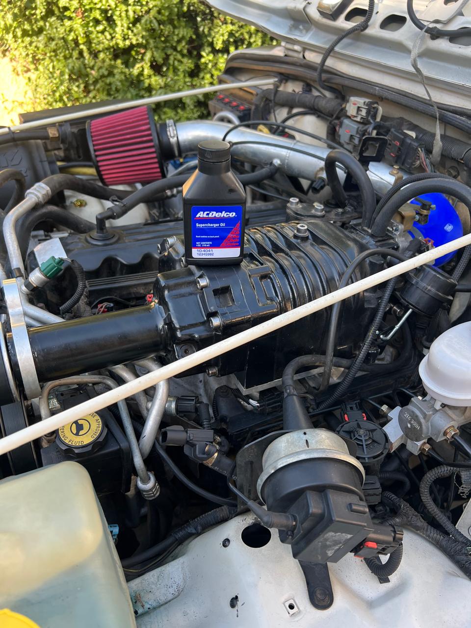 WhatsApp Image 2024-12-12 at 11.42.02 p.m..jpeg