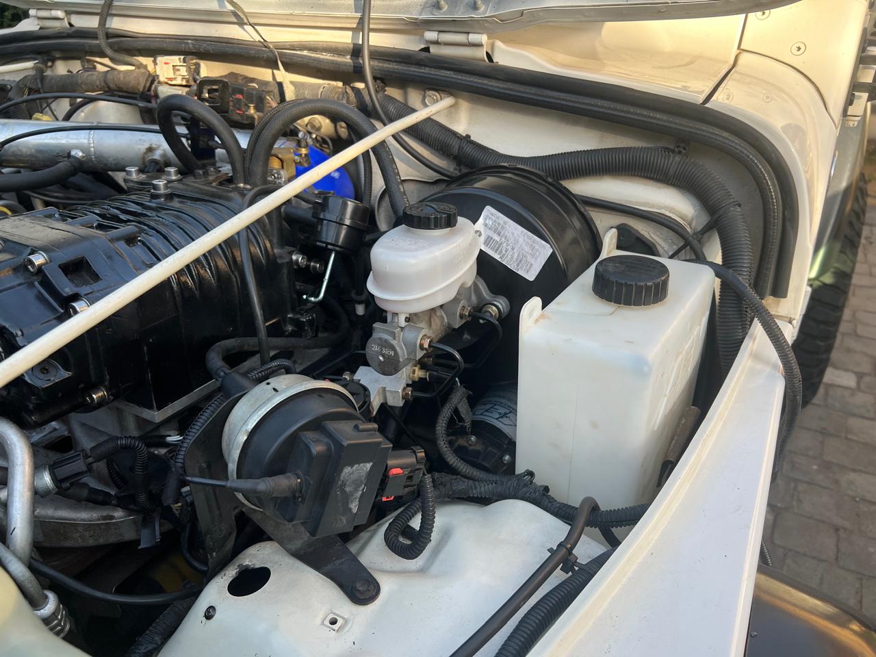 WhatsApp Image 2024-12-12 at 11.52.50 p.m..jpeg