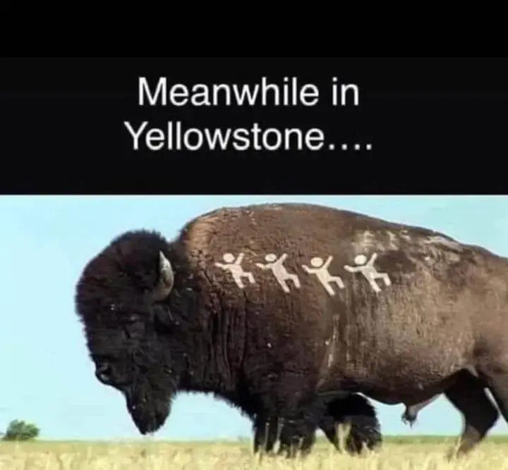 Yellowstone.jpg