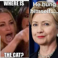 cameron-diaz-angry-lady-cat-hillary-clinton-he-hung-himself.jpg
