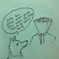 dog-person-cone-its-for-your-own-good-have-to-stop-touching-face.jpg