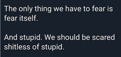 quote-only-thing-we-have-to-fear-is-fear-itself-and-stupid.jpg