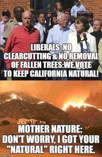 liberals-no-clearcutting-removal-of-trees-keep-california-natural-mother-nature-i-got-your-nat...jpg