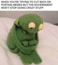 when-youre-trying-to-cut-back-on-posting-memes-but-government-wont-stop-doing-crazy-things-ker...jpg